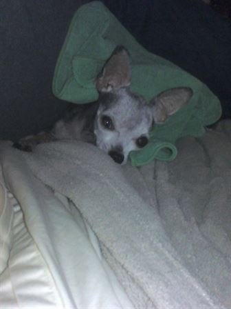 Debra Hebert - Photo 54