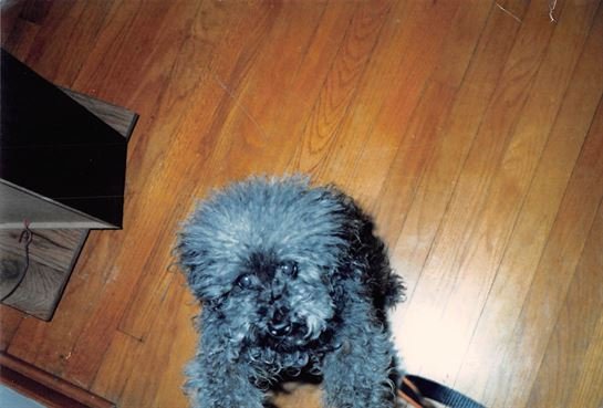 Debra Hebert — photo 57