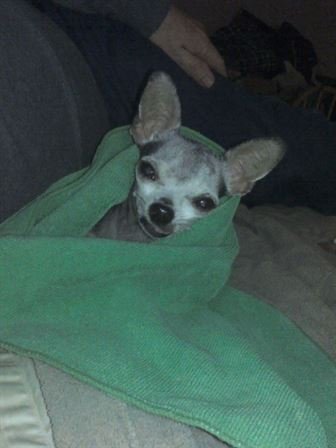 Debra Hebert - Photo 59