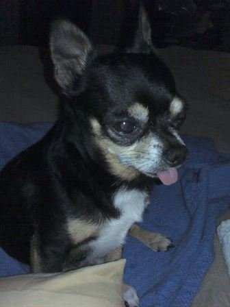 Debra Hebert - Photo 60