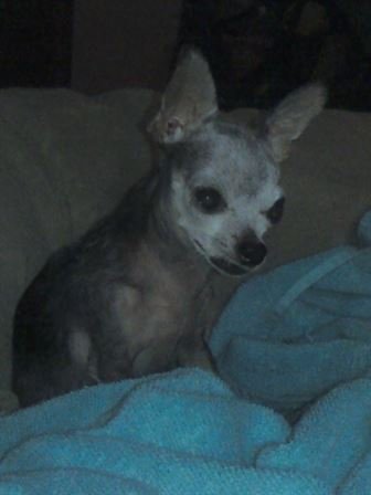 Debra Hebert - Photo 69