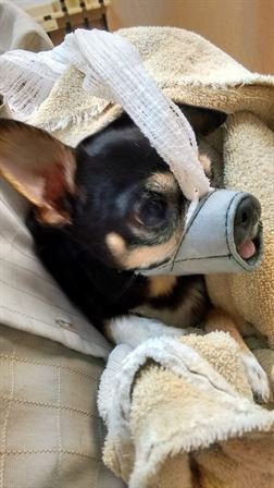 Debra Hebert — photo 74