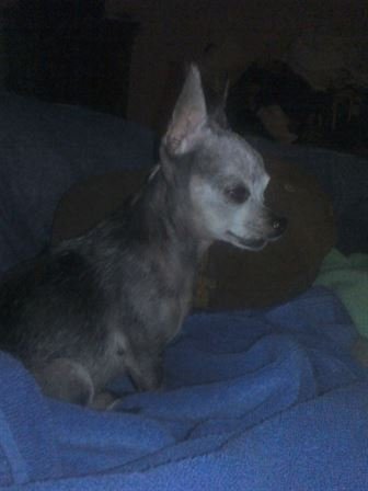 Debra Hebert — photo 78