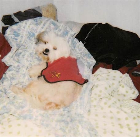 Debra Hebert - Photo 79