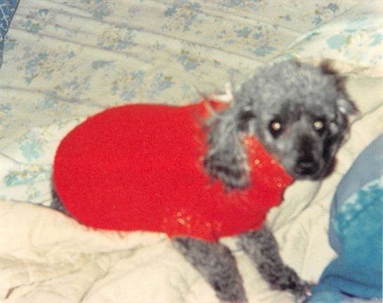 Debra Hebert - Photo 81