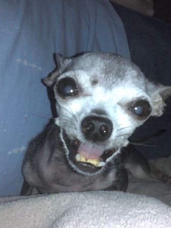 Debra Hebert — photo 86