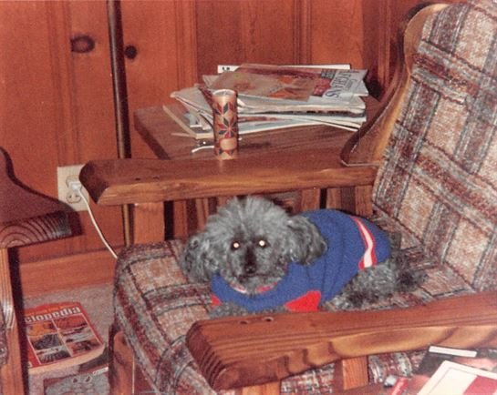 Debra Hebert - Photo 85