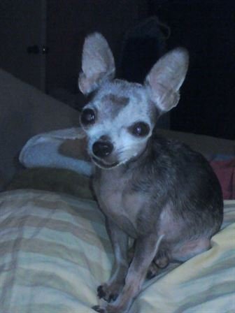 Debra Hebert — photo 87