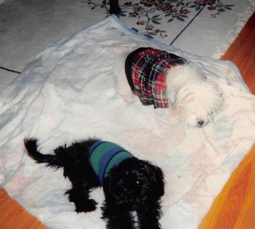 Debra Hebert - Photo 95