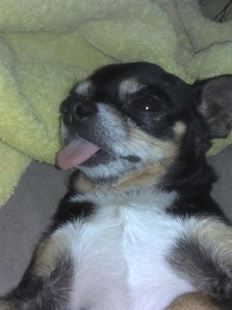 Debra Hebert - Photo 100