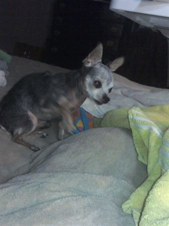 Debra Hebert - Photo 104