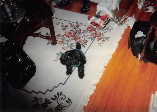 Debra Hebert - Photo 110