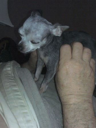 Debra Hebert - Photo 111