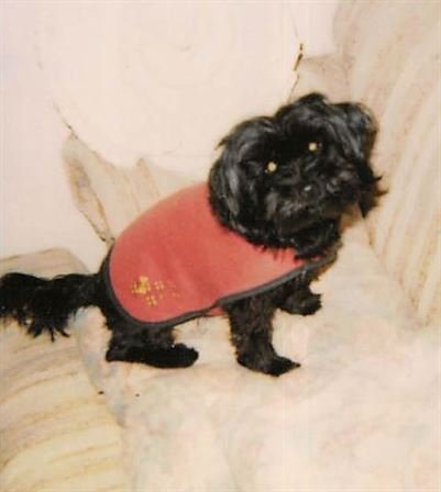 Debra Hebert - Photo 112