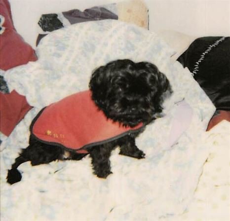 Debra Hebert - Photo 117