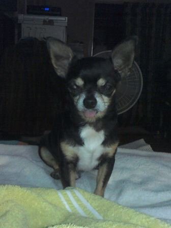 Debra Hebert - Photo 118