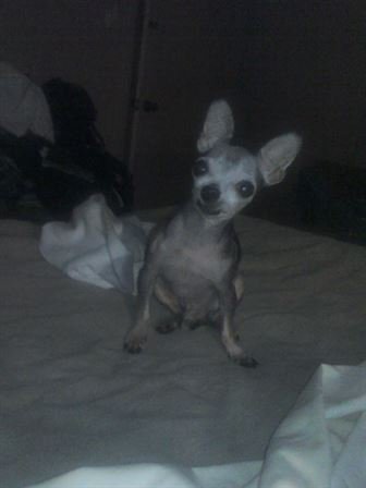 Debra Hebert - Photo 119