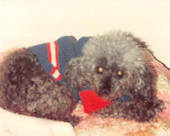 Debra Hebert - Photo 121