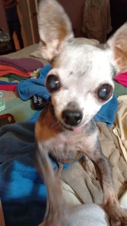 Debra Hebert - Photo 122