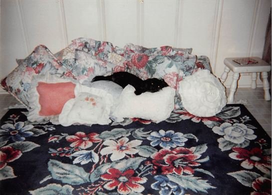 Debra Hebert - Photo 123