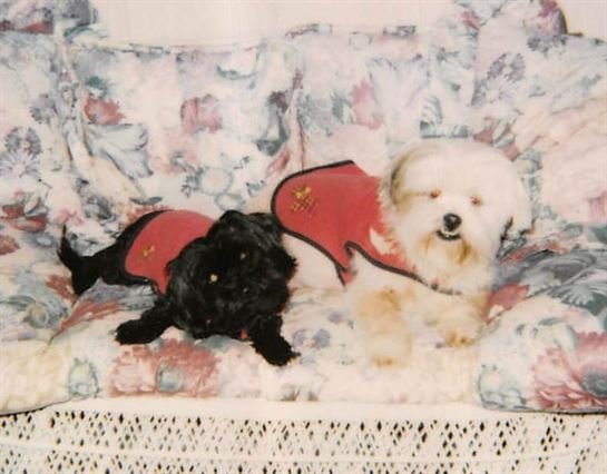 Debra Hebert - Photo 128