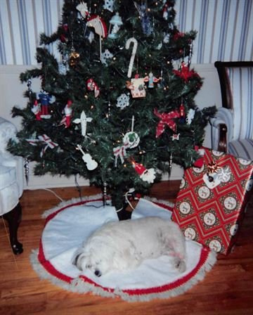 Debra Hebert — photo 137