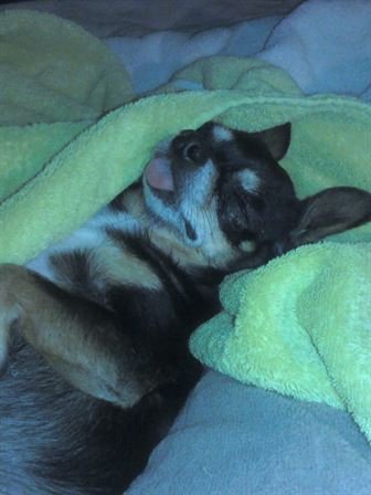 Debra Hebert - Photo 139