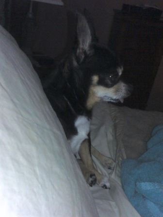 Debra Hebert - Photo 142