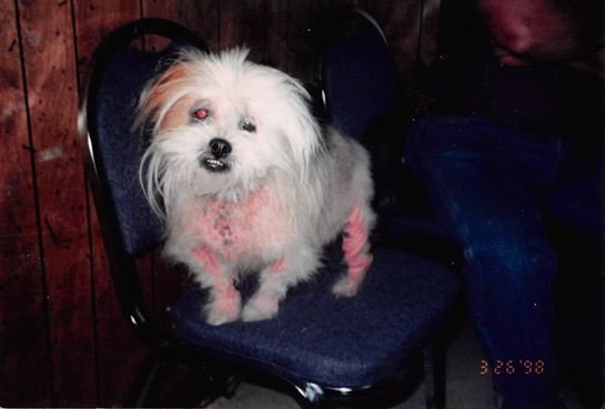 Debra Hebert - Photo 143