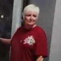 Pam Laurie Springer - Photo 2