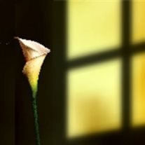 Leonard "Len"William Hargrave Jr. - Photo 2