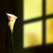 Lonnie Andrew Henry - Photo 3