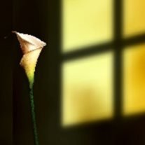 Kellie Gentry - Photo 2