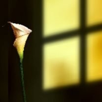 Debra "Debbie" Kay Dunahoe - Photo 2