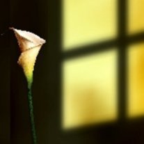 Larry Keith Lesher - Photo 3