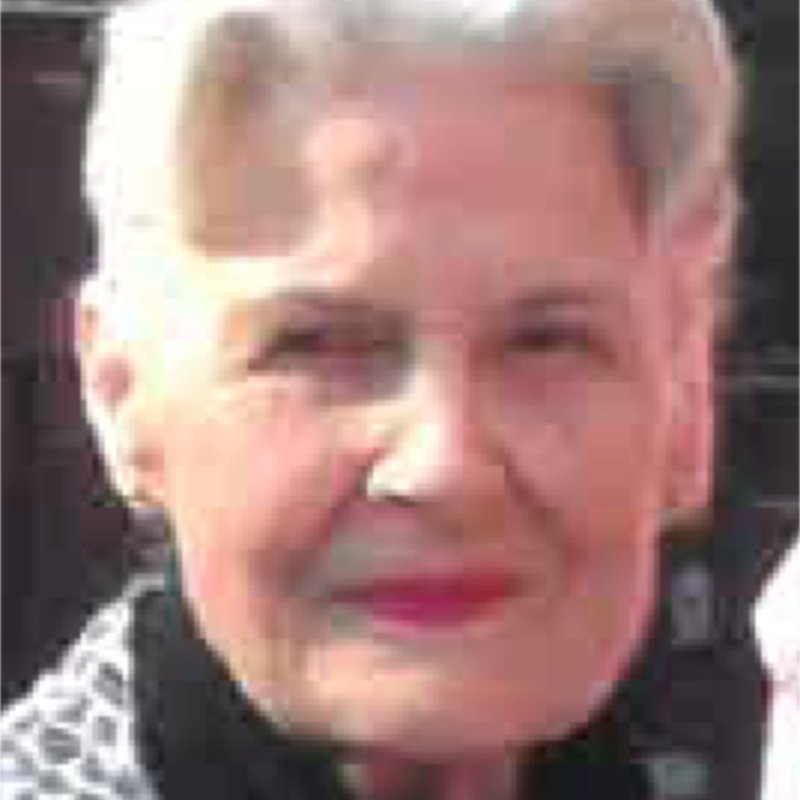 Fay Jean Williams - Photo 2