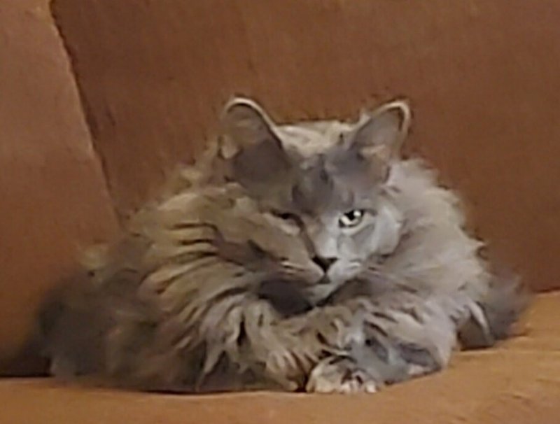 Robert Edward Broadus - Photo 43