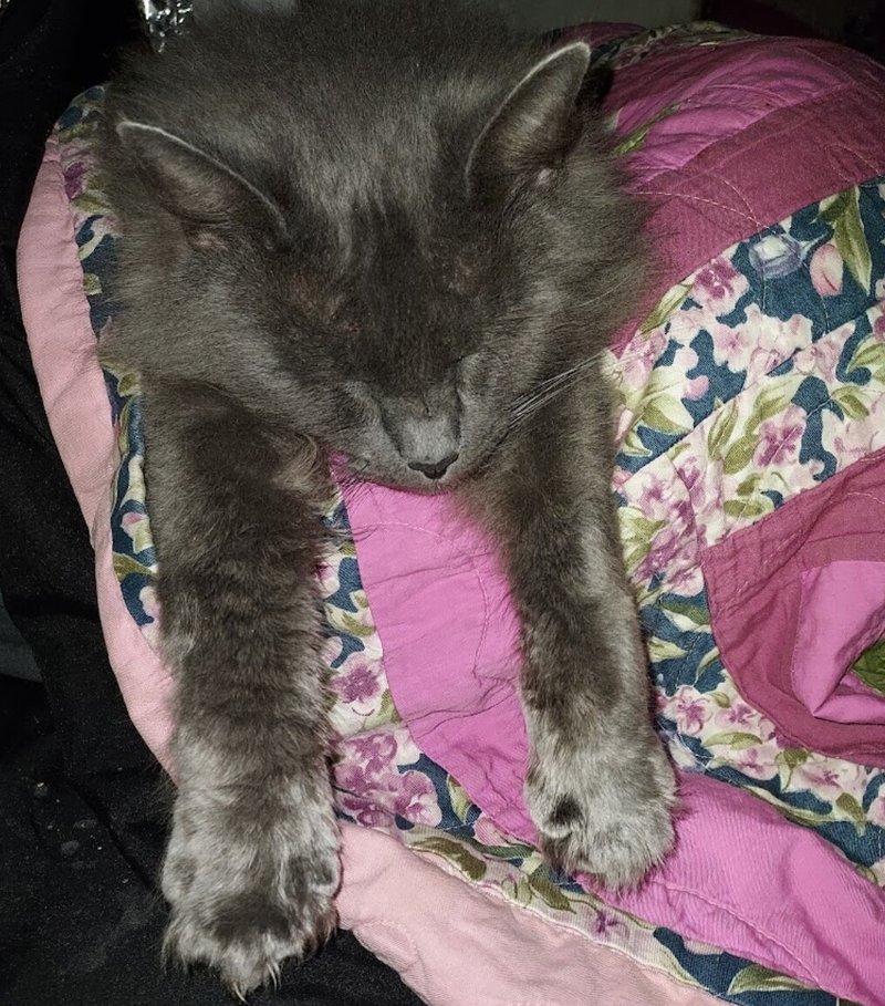 Robert Edward Broadus - Photo 48