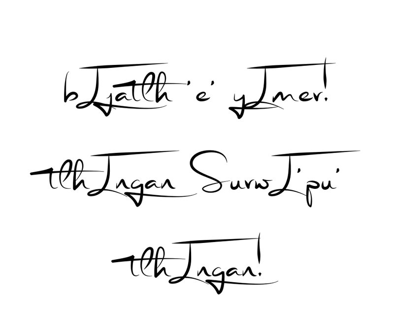 Stephen Roy Lawrence - Photo 31