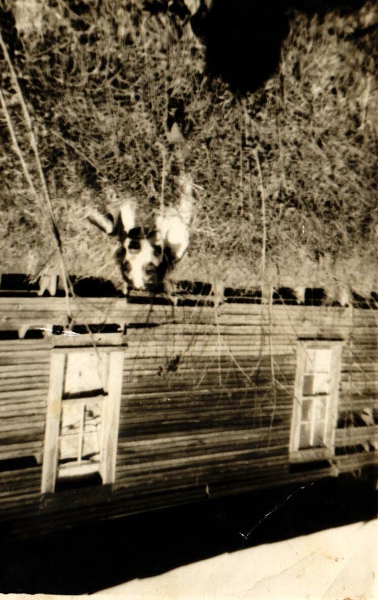 Billy Edgar Goodman - Photo 31