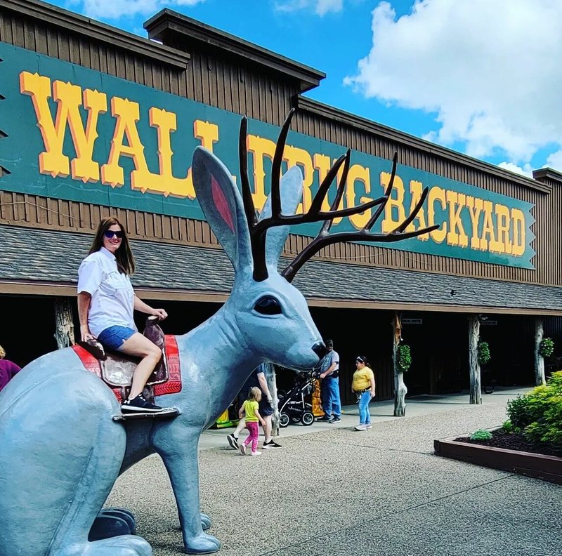 Stacy Darlene Menard - Photo 16