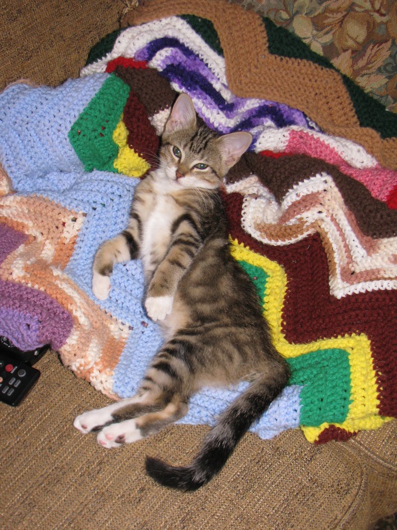 Charlotte Camille Raybon - Photo 32