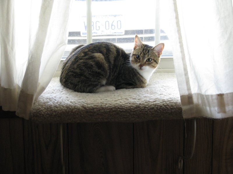 Charlotte Camille Raybon - Photo 94