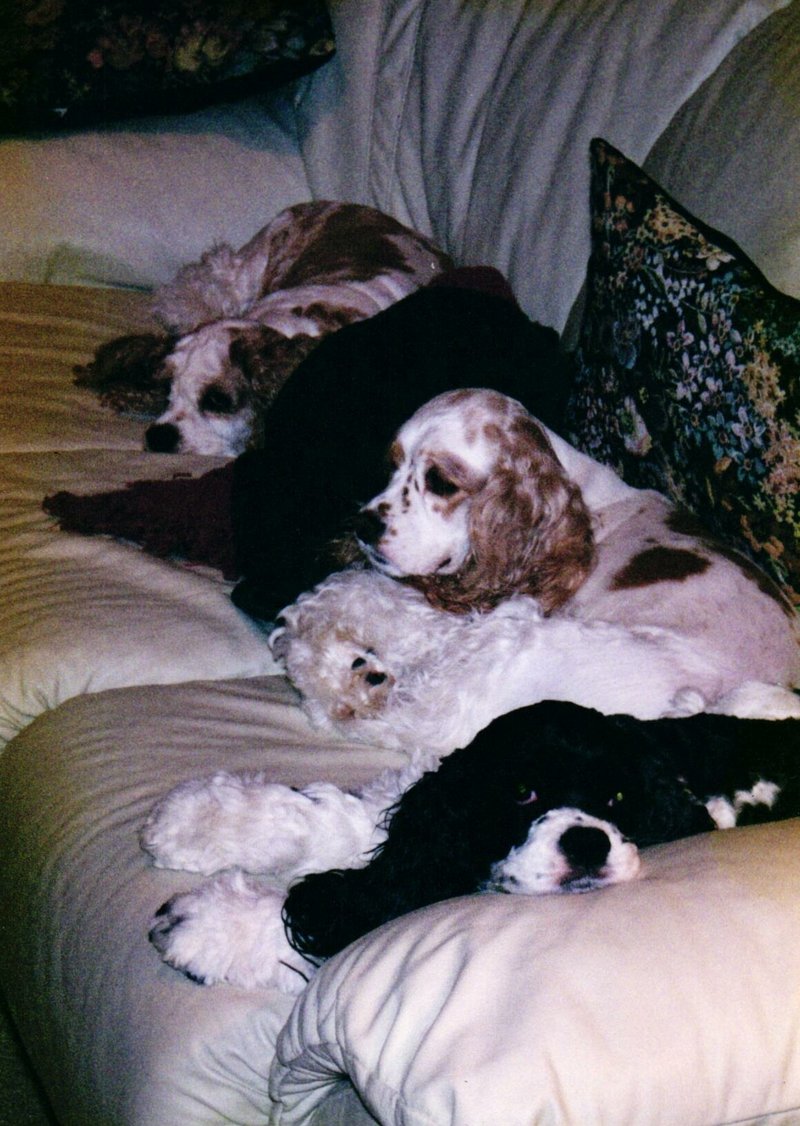 James "Pat" Voight - Photo 57