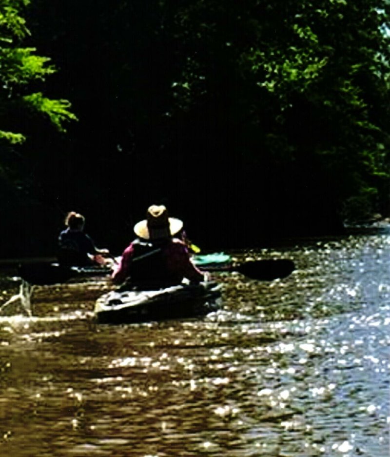 Janice Marie Simmons - Photo 36