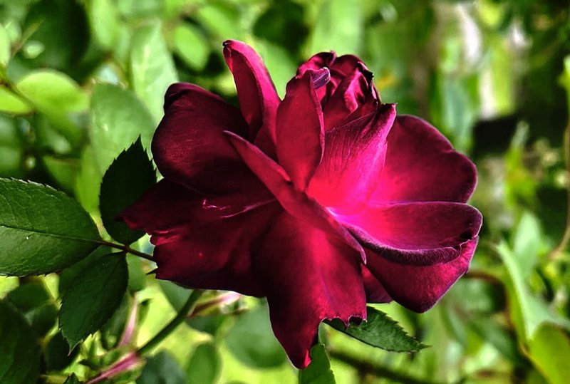 Janice Marie Simmons - Photo 97