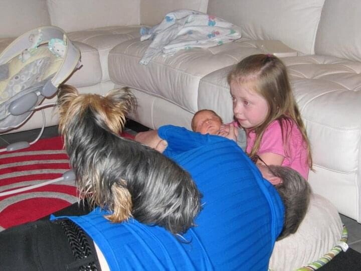 Harry Louis Stephens - Photo 6