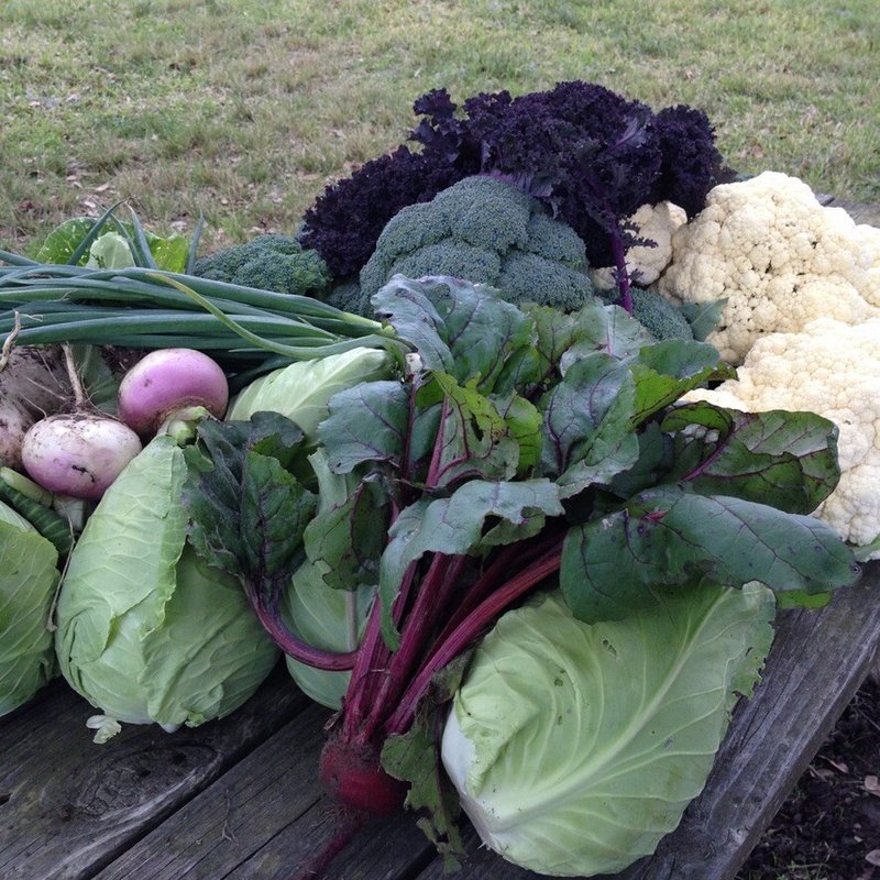 Ray Hearn - Photo 71