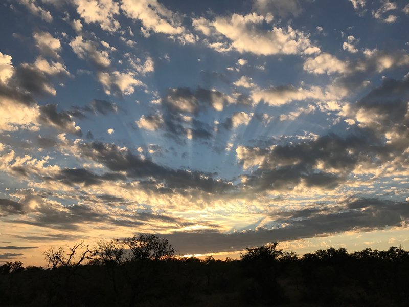 Ray Hearn - Photo 86