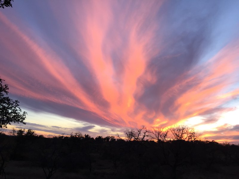 Ray Hearn - Photo 110